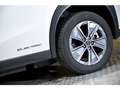 Lexus UX 300e Executive White - thumbnail 13