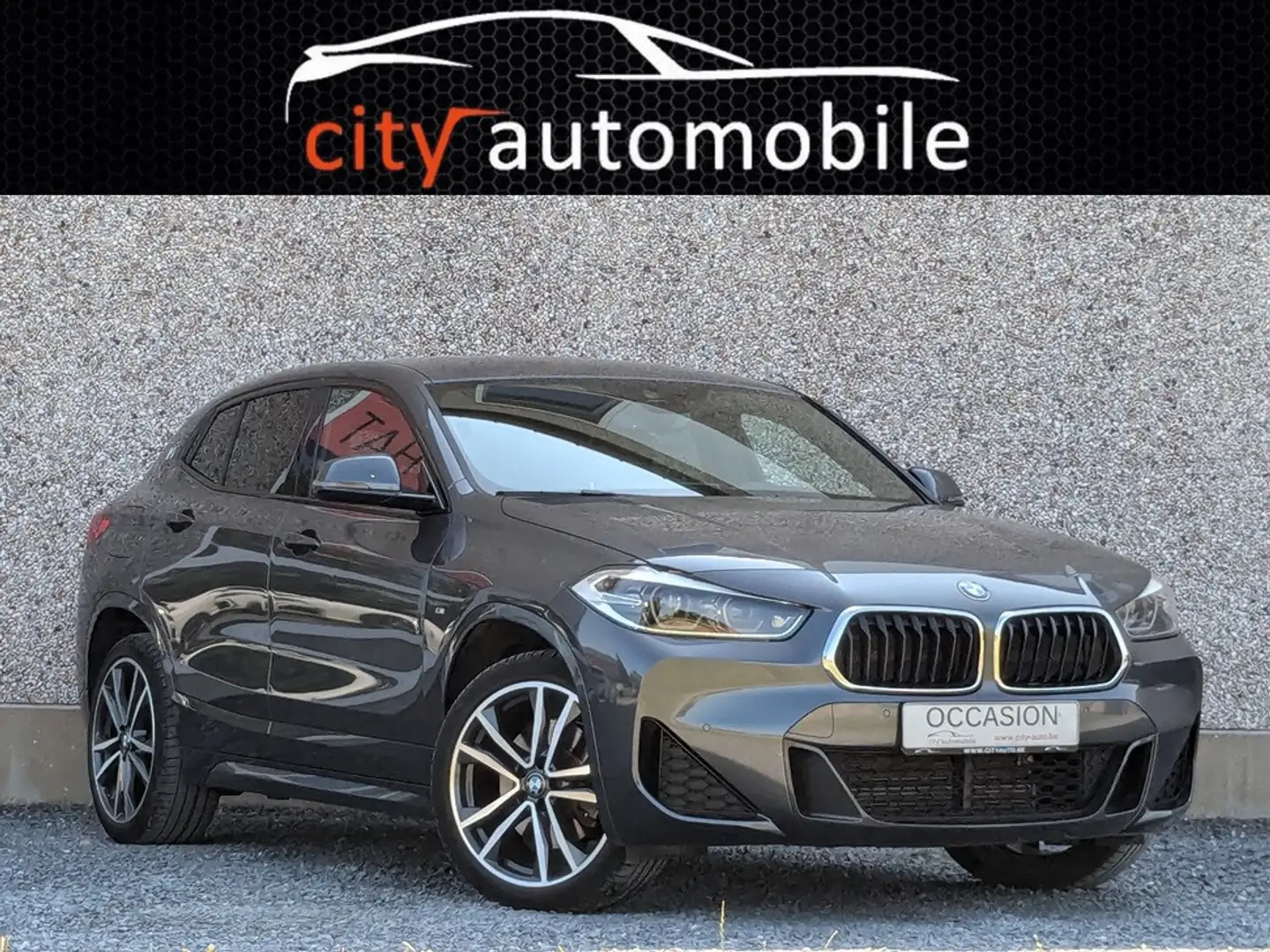 BMW X2 X2 SDRIVE20i PACK M CARPLAY LED CUIR CAMERA Gris - 1