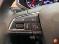 SEAT Ibiza 1.0 EcoTSI 70kW (95CV) Xcellence Plus Blanco - thumbnail 20