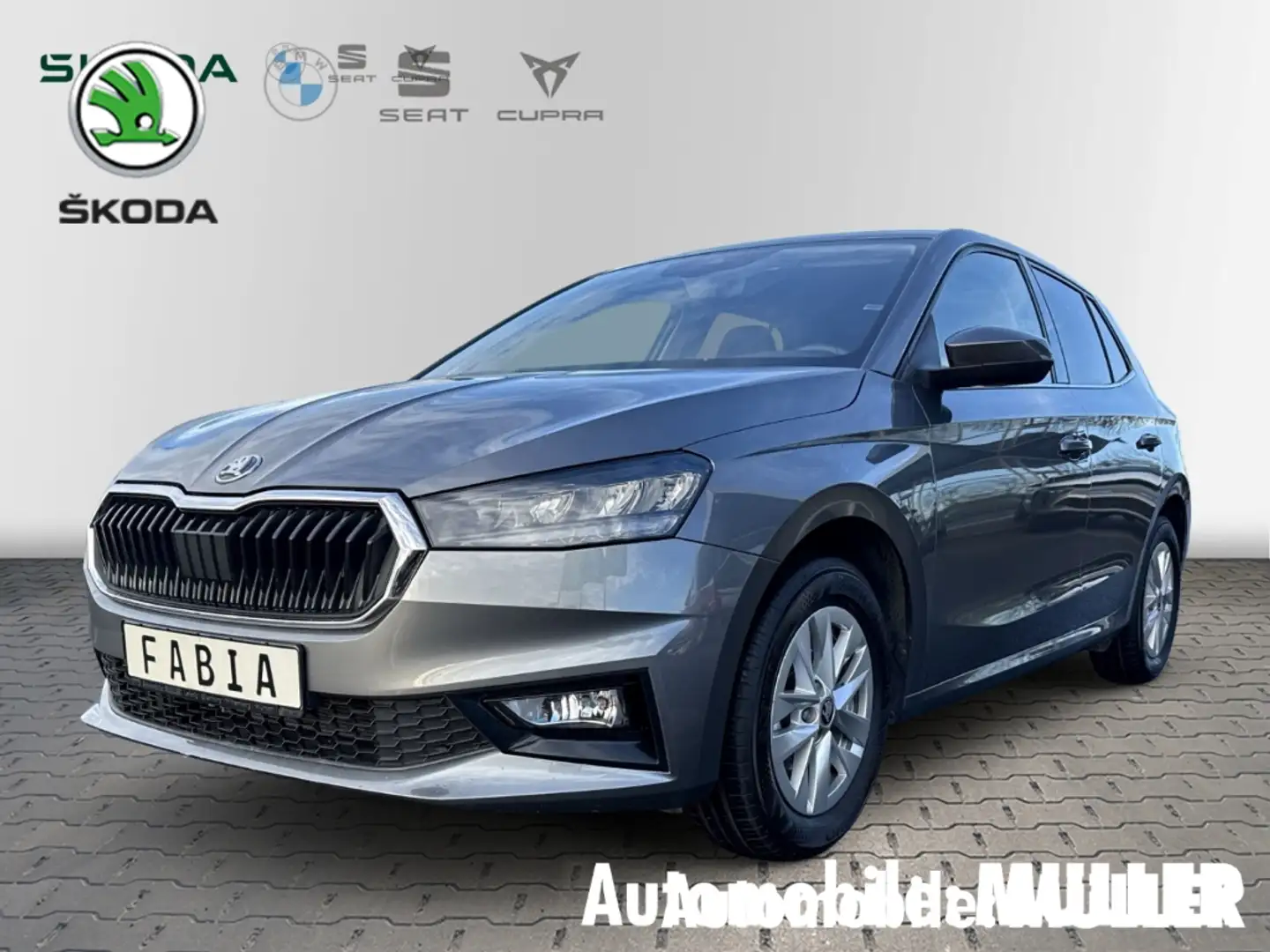 Skoda Fabia Selection 1,0 TSI LED Sperrdiff. Apple CarPlay And Grau - 1
