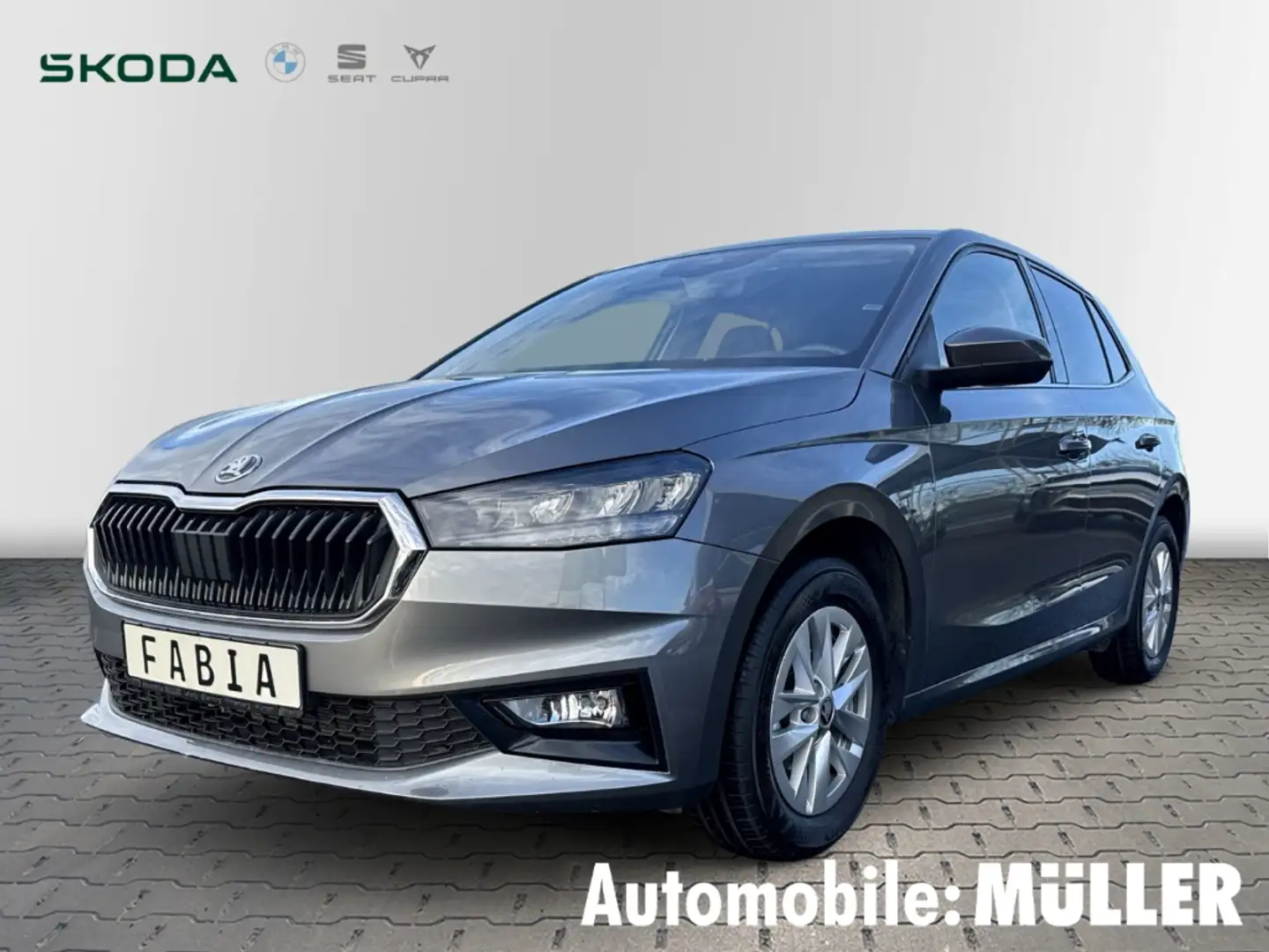 Skoda Fabia Selection 1,0 TSI LED Sperrdiff. Apple CarPlay And Grau - 1