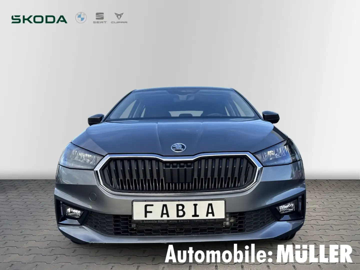 Skoda Fabia Selection 1,0 TSI LED Sperrdiff. Apple CarPlay And Grau - 2