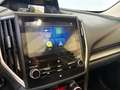 Subaru Forester Forester 2.0 e-Boxer MHEV CVT Lineartronic 4dvent Gris - thumbnail 31