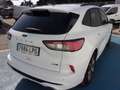 Ford Kuga 2.0 EcoBlue MEHV ST-Line X FWD 150 Blanco - thumbnail 6