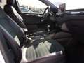 Ford Kuga 2.0 EcoBlue MEHV ST-Line X FWD 150 Blanco - thumbnail 13
