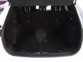 Ford Kuga 2.0 EcoBlue MEHV ST-Line X FWD 150 Blanco - thumbnail 10