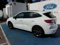 Ford Kuga 2.0 EcoBlue MEHV ST-Line X FWD 150 Blanco - thumbnail 2