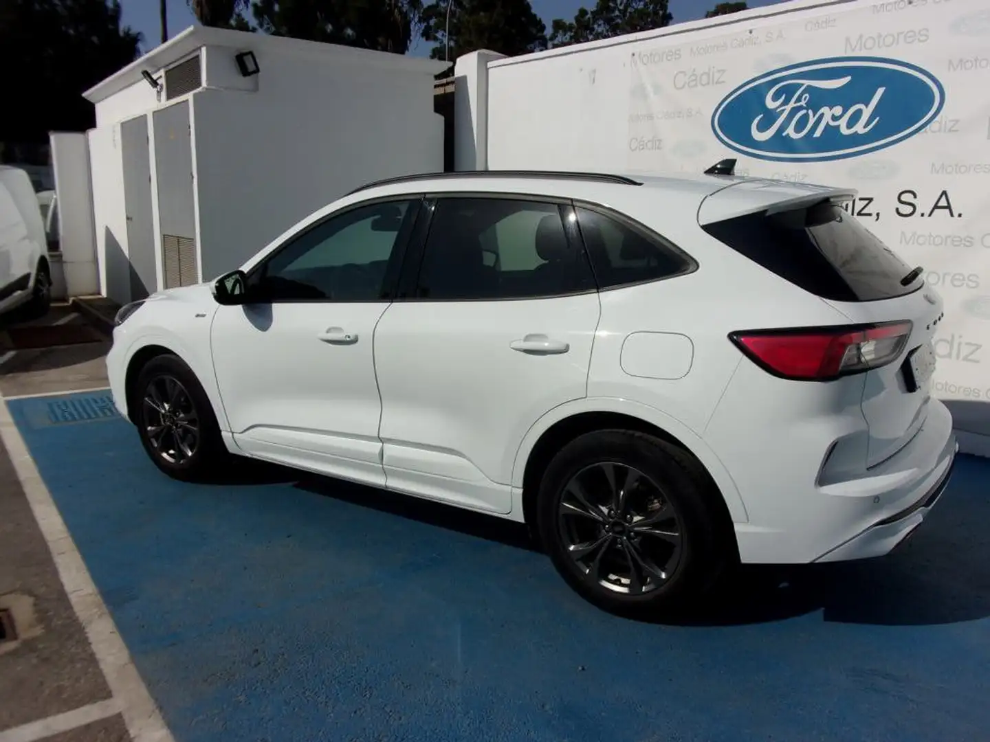 Ford Kuga 2.0 EcoBlue MEHV ST-Line X FWD 150 Blanc - 2