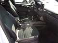 Ford Kuga 2.0 EcoBlue MEHV ST-Line X FWD 150 Blanco - thumbnail 12