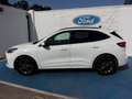 Ford Kuga 2.0 EcoBlue MEHV ST-Line X FWD 150 Blanco - thumbnail 14