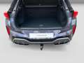 CUPRA Terramar 2.0 TSI 150 kW (204 PS) 4Drive, AHK Violett - thumbnail 12