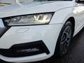 Skoda Octavia Combi 2,0 TDI DSG *LED MIT FLA & DYN BLINKER / 17 ZOLL / VIRTUELL / NAVI / AHV / SPORTMASSAGESITZ / ACC* Weiß - thumbnail 14