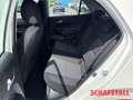 Kia Picanto 1.0 Vision Navi Tempomat Kamera Carplay Sitzheizun Weiß - thumbnail 15