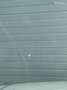 Volkswagen Golf 8 gti 245 dsg7 Blanc - thumbnail 7