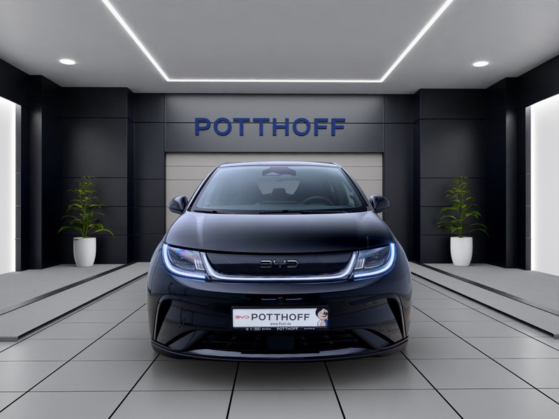 BYD Dolphin DMS DESIGN LED PANO LEDER 360* — photo 7