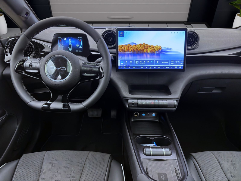 BYD Dolphin DMS DESIGN LED PANO LEDER 360* — photo 13