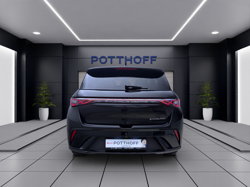 BYD Dolphin DMS DESIGN LED PANO LEDER 360* — photo 4