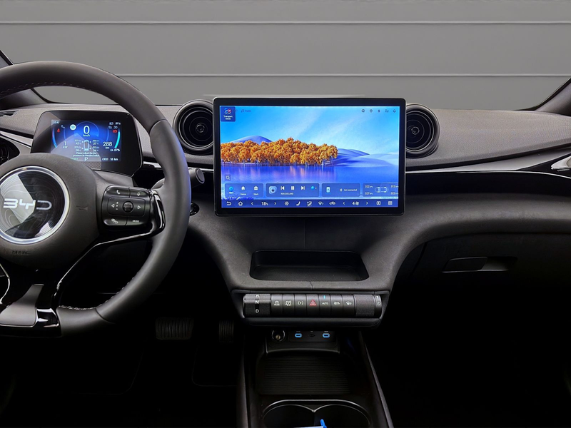 BYD Dolphin DMS DESIGN LED PANO LEDER 360* — photo 14