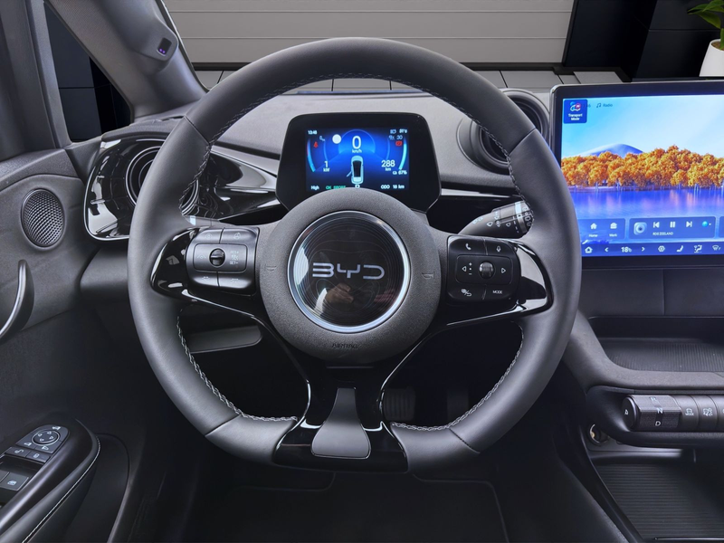 BYD Dolphin DMS DESIGN LED PANO LEDER 360* — photo 11