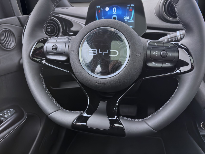 BYD Dolphin DMS DESIGN LED PANO LEDER 360* — photo 12