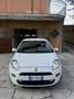 Fiat Punto Evo 5p 1.3 mjt Dynamic s&s 95cv - thumbnail 2