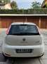 Fiat Punto Evo 5p 1.3 mjt Dynamic s&s 95cv - thumbnail 5