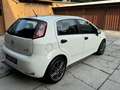 Fiat Punto Evo 5p 1.3 mjt Dynamic s&s 95cv - thumbnail 6