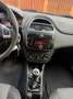 Fiat Punto Evo 5p 1.3 mjt Dynamic s&s 95cv - thumbnail 10