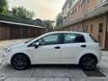 Fiat Punto Evo 5p 1.3 mjt Dynamic s&s 95cv - thumbnail 3