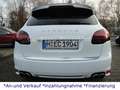Porsche Cayenne Turbo Sport-Design-Paket*ESD*Leder Weiß - thumbnail 16