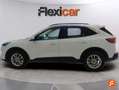 Ford Kuga 1.5 EcoBlue Titanium FWD 120 Aut. Weiß - thumbnail 3