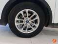 Ford Kuga 1.5 EcoBlue Titanium FWD 120 Aut. Weiß - thumbnail 21