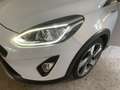 Ford Fiesta Fiesta Active 1.0 Ecoboost 125 CV TITANIUM Weiß - thumbnail 10