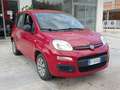 Fiat Panda Panda III 2012 1.2 E6*IVA DEDUCIBILE*NEOPATENTATI Rot - thumbnail 3
