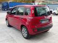 Fiat Panda Panda III 2012 1.2 E6*IVA DEDUCIBILE*NEOPATENTATI Rot - thumbnail 6