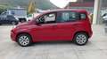 Fiat Panda Panda III 2012 1.2 E6*IVA DEDUCIBILE*NEOPATENTATI Rot - thumbnail 4