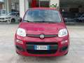 Fiat Panda Panda III 2012 1.2 E6*IVA DEDUCIBILE*NEOPATENTATI Rot - thumbnail 2
