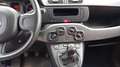 Fiat Panda Panda III 2012 1.2 E6*IVA DEDUCIBILE*NEOPATENTATI Rot - thumbnail 11