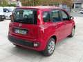 Fiat Panda Panda III 2012 1.2 E6*IVA DEDUCIBILE*NEOPATENTATI Rot - thumbnail 7