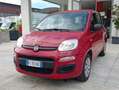 Fiat Panda Panda III 2012 1.2 E6*IVA DEDUCIBILE*NEOPATENTATI Rot - thumbnail 1