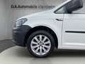 Volkswagen Caddy Nfz Maxi Kombi BMT°Klima°AHK°Euro6°° Weiß - thumbnail 22