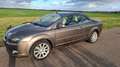 Ford Focus Focus 2.0-16V Titanium Beige - thumbnail 3