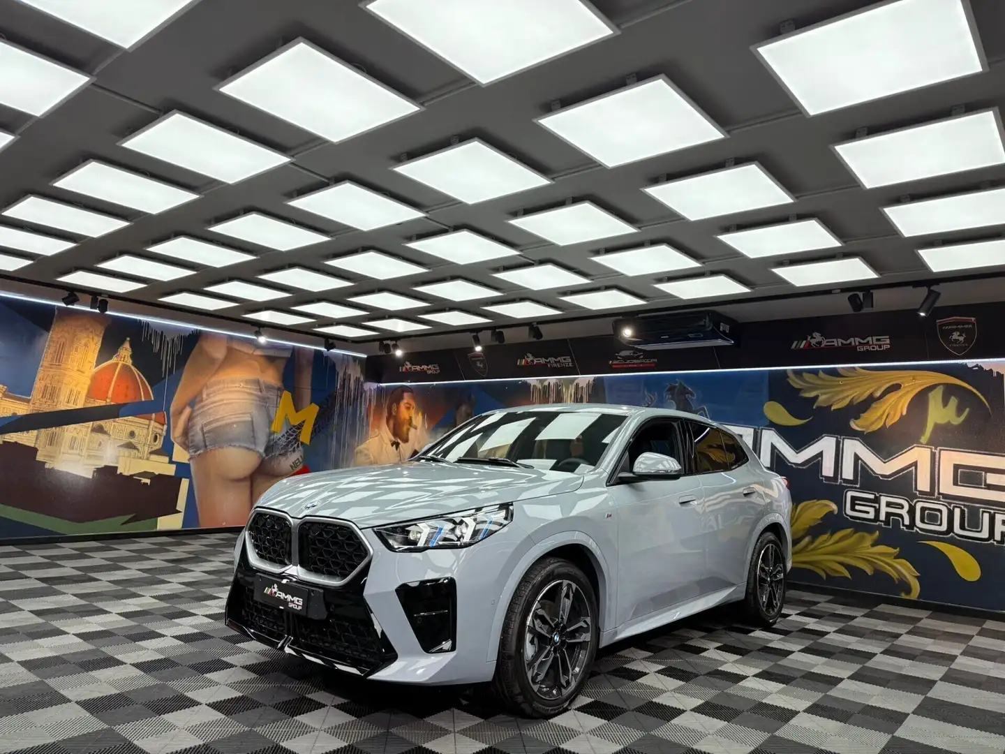 BMW X2 X2 sDrive 18d Msport Pro (566) Grau - 1
