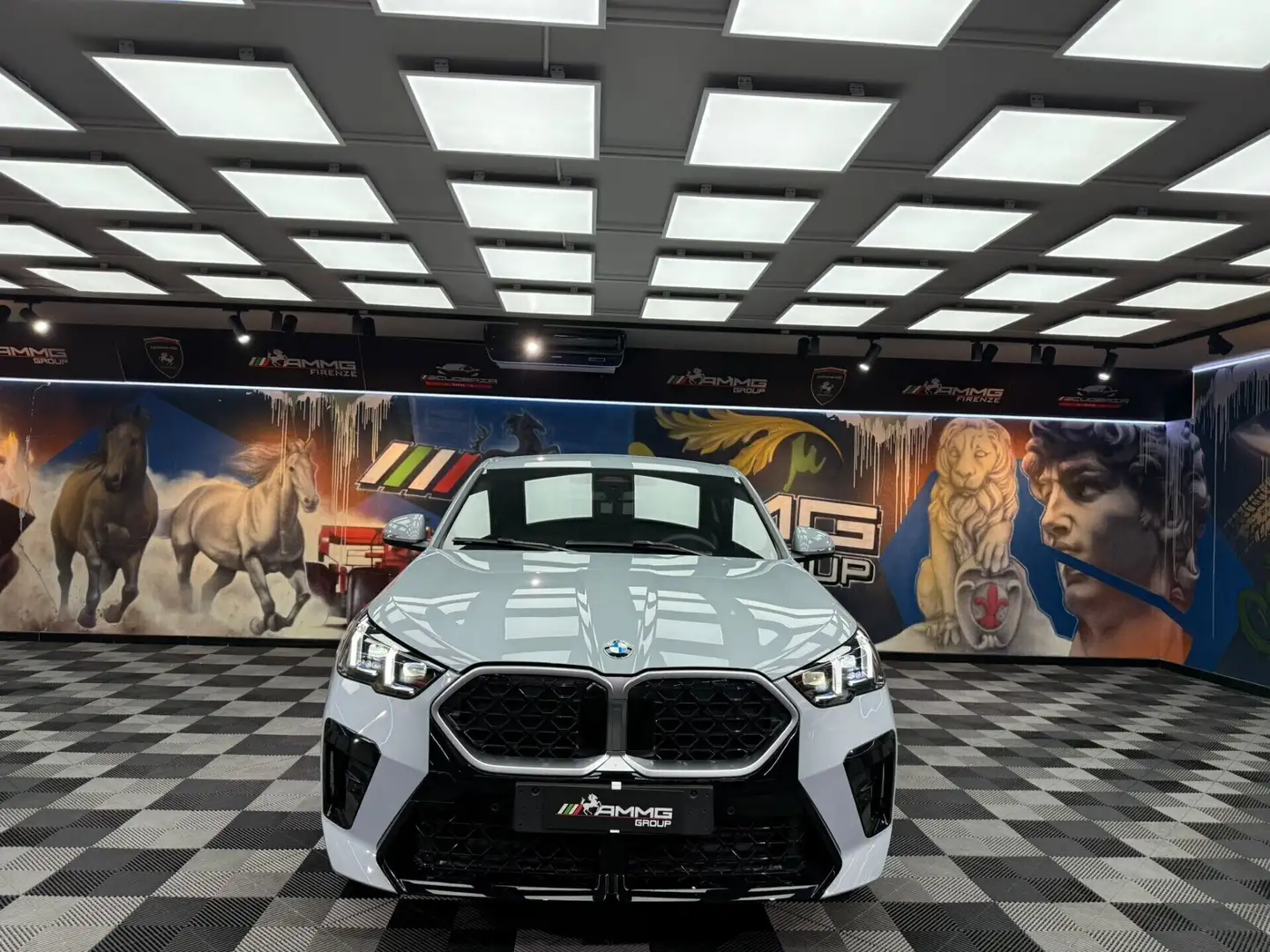 BMW X2 X2 sDrive 18d Msport Pro (566) Grau - 2