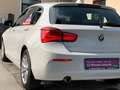 BMW 116 116d, ALPINWEISS III, Pickerl NEU bis 01.2027, TOP - thumbnail 45