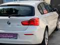 BMW 116 116d, ALPINWEISS III, Pickerl NEU bis 01.2027, TOP - thumbnail 7