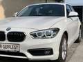 BMW 116 116d, ALPINWEISS III, Pickerl NEU bis 01.2027, TOP - thumbnail 47
