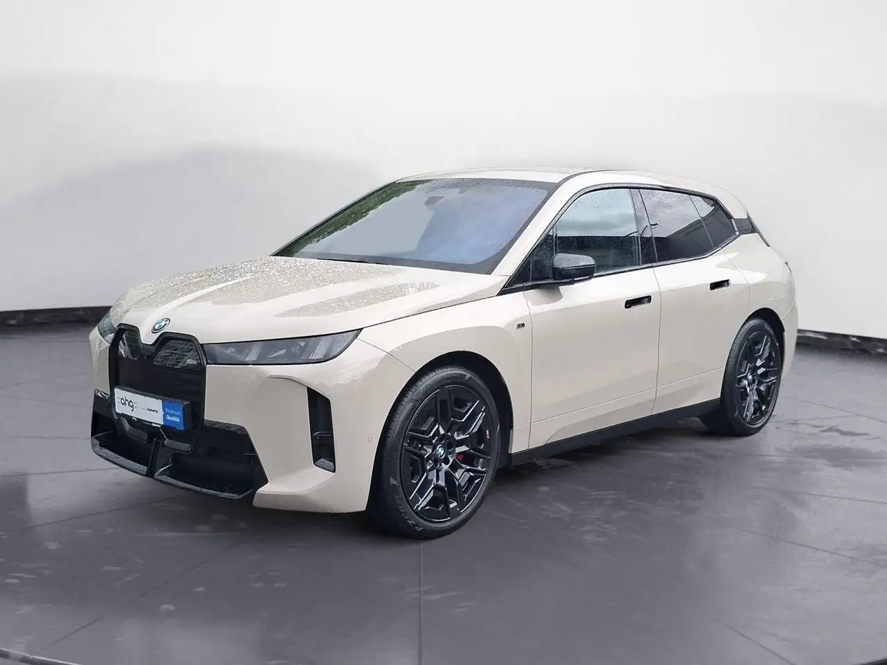 BMW iX 2025