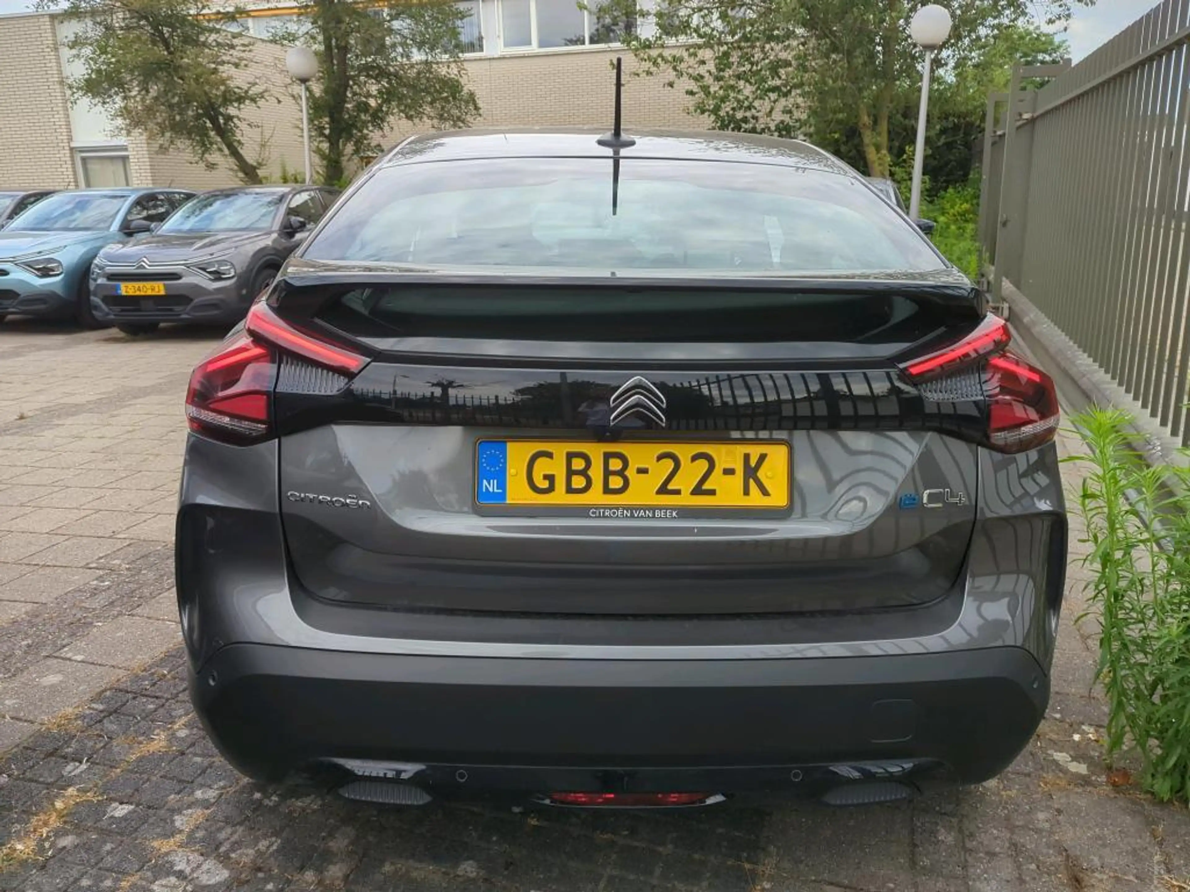 Citroen E-C4 Electric You 50 kWh — photo 4