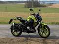 Keeway RKF 125 Keeway RKF 125ccm mit 6.400km Verde - thumbnail 4